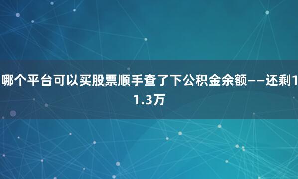 哪个平台可以买股票顺手查了下公积金余额——还剩11.3万