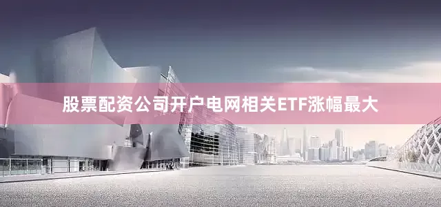 股票配资公司开户电网相关ETF涨幅最大