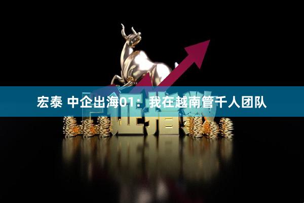宏泰 中企出海01：我在越南管千人团队