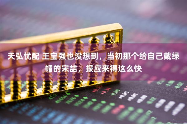 天弘忧配 王宝强也没想到，当初那个给自己戴绿帽的宋喆，报应来得这么快